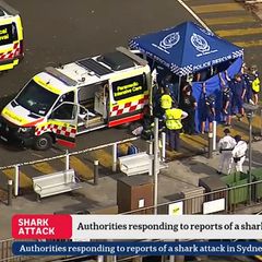 Sydney: Hilfskräfte kümmern sich nach einer mutmaßliche Haiattacke um einen Jugendlichen
