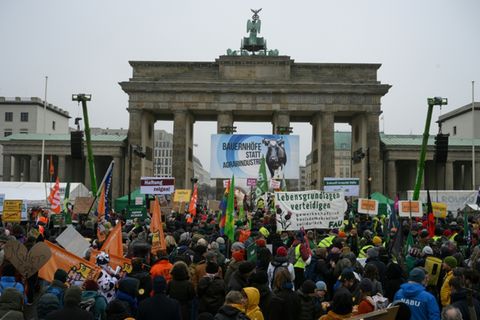 "Wir habe es satt"-Demo in Berlin