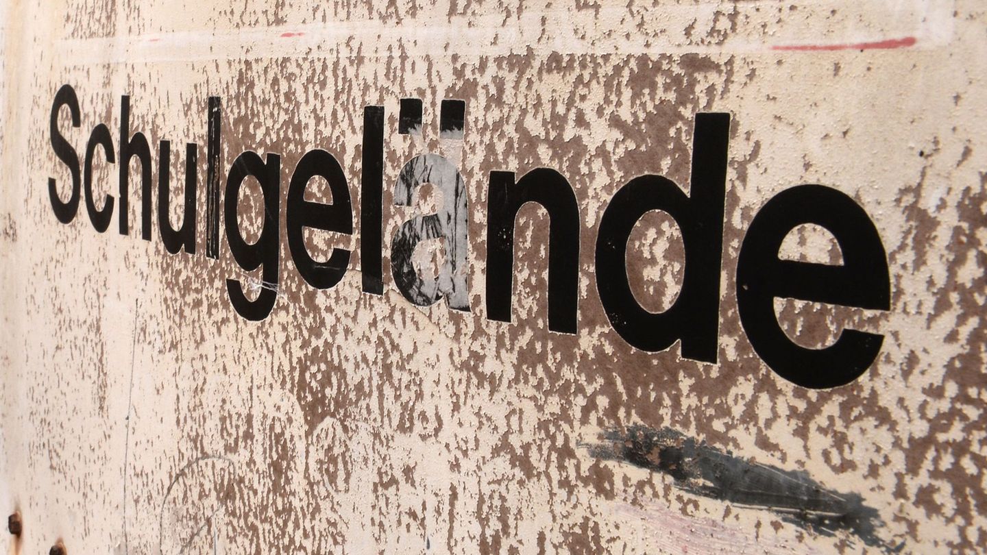 Die LSV wurde Ende der 80er Jahre von Schülerinnen und Schülern aus Rheinland-Pfalz gegründet. (Archivbild) Foto: Hendrik Schmid