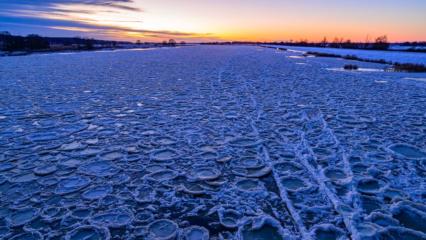 Eisschollen auf der Oder. Im Tagesverlauf kommt die Sonne raus. (Archivbild) Foto: Patrick Pleul/dpa