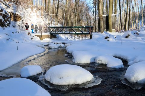 Sonnig, aber kalt wird es in Sachsen-Anhalt. (Symbolbild) Foto: Christian Butt/dpa