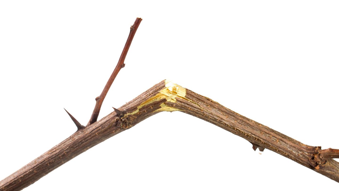 Etwas übers Knie brechen