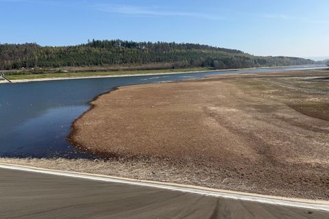 Ein Passant entdeckte die verbotenen Zeichen an Abfalleimern. (Archivbild) Foto: Michael Bauer/dpa