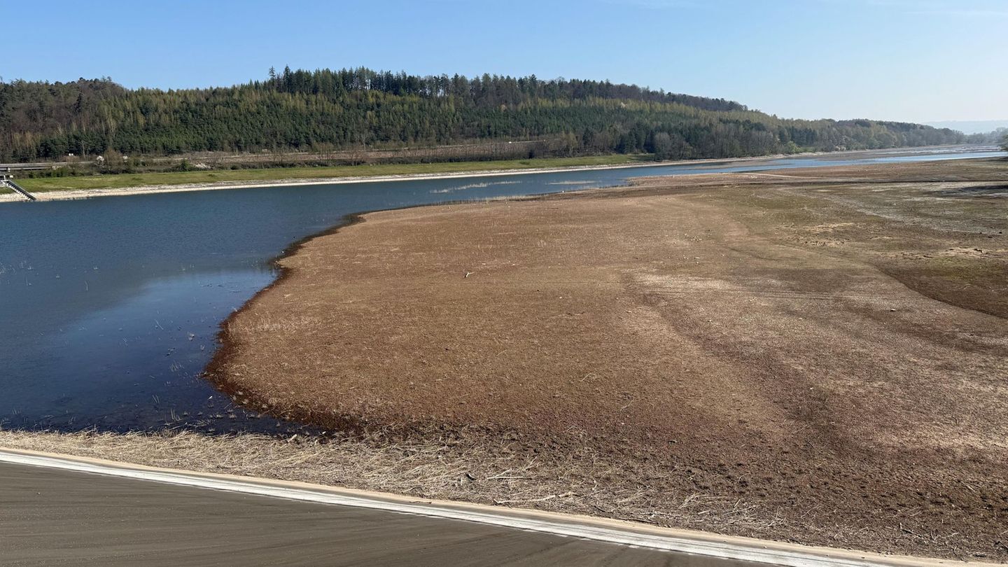 Ein Passant entdeckte die verbotenen Zeichen an Abfalleimern. (Archivbild) Foto: Michael Bauer/dpa