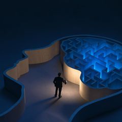 Ebenfalls ein Vollzeitjob: Auf der Suche nach Lösungen im menschlichen Gehirn