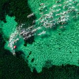 Luftaufnahme der Teilnehmenden des "Geo Bay Cool Water Classic", eines 20 Kilometer langen Schwimmens im klaren Wasser der Geographe-Bucht von Westaustralien. Gestartet sind die Ausdauerathleten im November 2025 in Dunsborough, südlich von Perth, passierten unterwegs Tonnen und Tore und hielten einen Kurs mehr oder weniger parallel zur Küste, angefeuert durch die Musik zahlreicher Beach-Partys