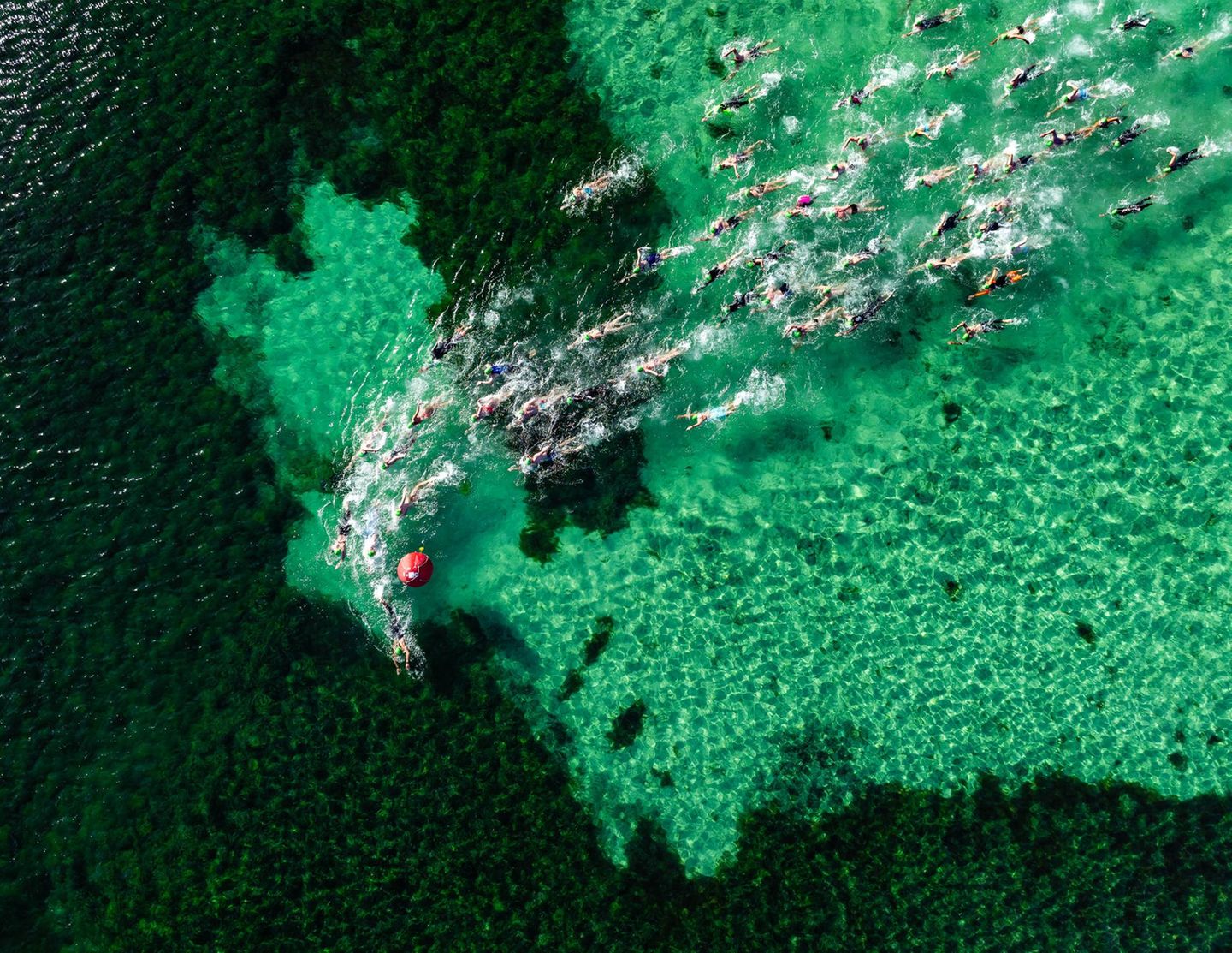 Luftaufnahme der Teilnehmenden des "Geo Bay Cool Water Classic", eines 20 Kilometer langen Schwimmens im klaren Wasser der Geographe-Bucht von Westaustralien. Gestartet sind die Ausdauerathleten im November 2025 in Dunsborough, südlich von Perth, passierten unterwegs Tonnen und Tore und hielten einen Kurs mehr oder weniger parallel zur Küste, angefeuert durch die Musik zahlreicher Beach-Partys