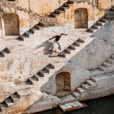 Treppen sind für Skater und Skaterinnen so ähnlich wie die Berge für alle ernst zu nehmenden Rennradbegeisterten: Hindernisse, die man unter die Rollen beziehungsweise Räder nehmen muss. Beim Skaten bedeutet das oft: mit einem mächtigen Satz hinüberfliegen. Oder geschickt auf eine Treppenstufe springen. Dieser Athlet findet in dem alten Stufenbrunnen in Jaipur, Indien, gleich eine ganze verheißungsvolle Auswahl vor. Fast wie in einem Wimmelbild droht dabei allerdings der Trick unterzugehen, den er gerade vollführt: ein "Kickflip", bei dem sich das Brett einmal um die Längsachse dreht