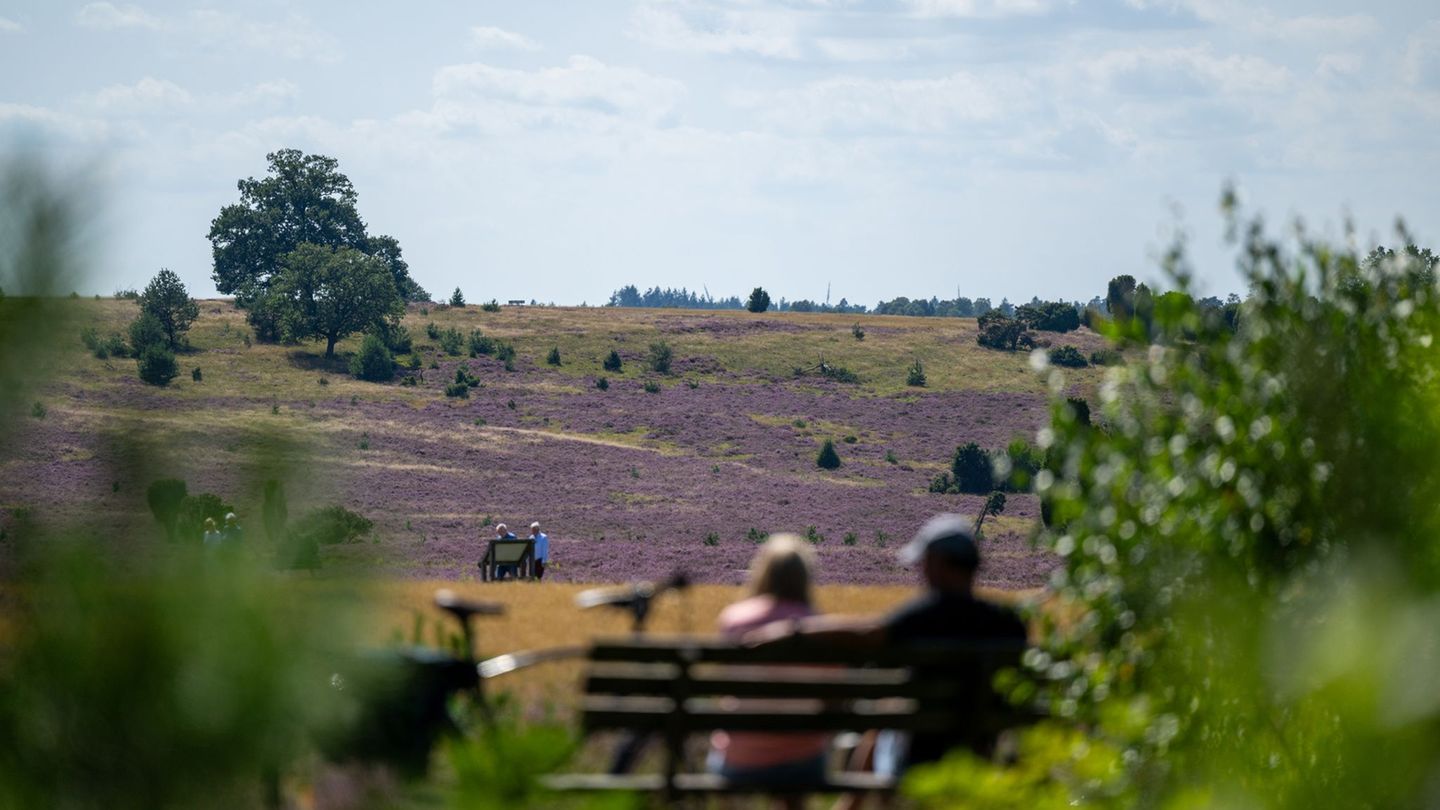 Schöne Landschaften wie die Lüneburger Heide prägen Niedersachsens Wahrnehmung – wirtschaftlich sieht das Bild dagegen durchwach