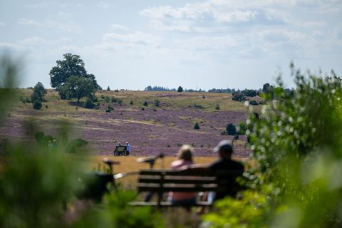 Schöne Landschaften wie die Lüneburger Heide prägen Niedersachsens Wahrnehmung – wirtschaftlich sieht das Bild dagegen durchwach