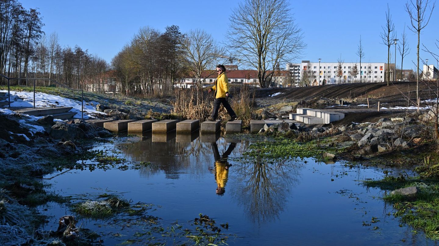 Für die Landesgartenschau wurde etwa bereits ein Abschnitt des Bachs Ohne renaturiert. Foto: Martin Schutt/dpa