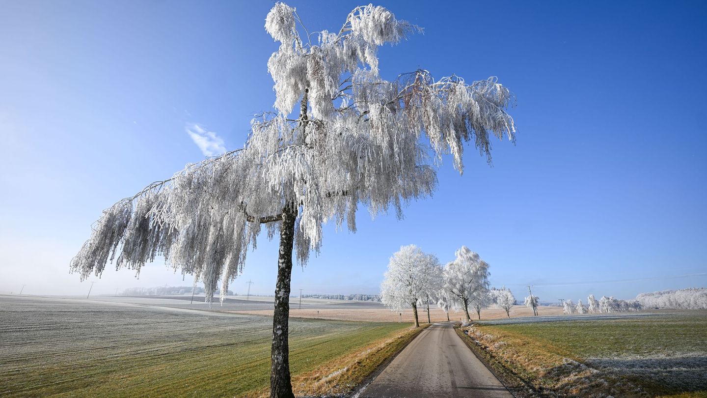 Vor allem in den höheren Lagen des Südwestens wird es in den kommenden Tagen freundlich. (Archivbild) Foto: Marius Bulling/onw-i
