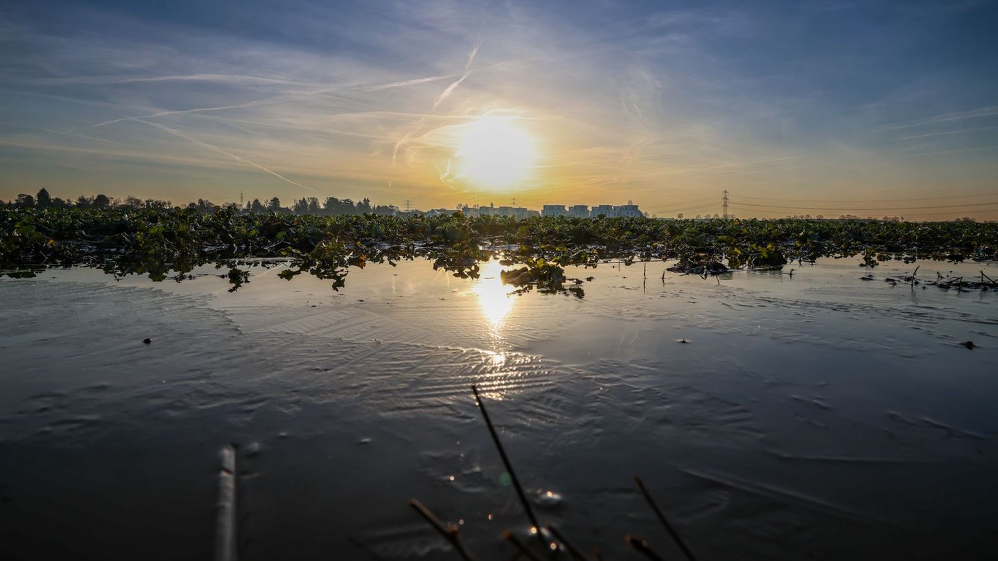 Die Sonne zeigt sich in den nächsten Tagen vermehrt. (Symbolbild) Foto: Christoph Reichwein/dpa