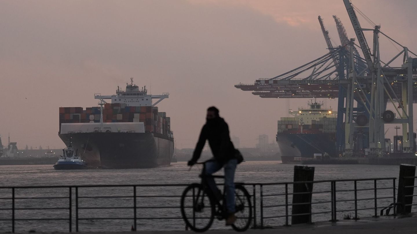 Ein Containerschiff wird in den Hamburger Hafen geschleppt. (Archivbild) Foto: Marcus Brandt/dpa