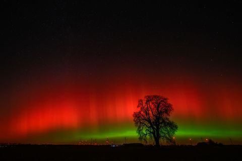 Polarlichter sind am Himmel über Brandenburg zu sehen. Foto: Patrick Pleul/dpa