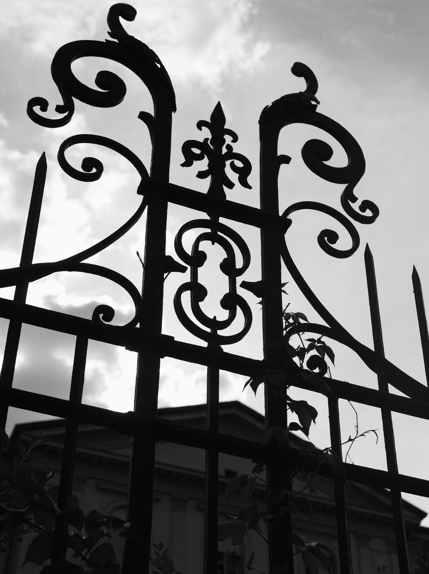 Ein verschnörkeltes Eingangstor aus Eisen