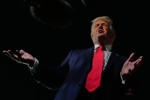 Mit seinen Plänen für eine neue "Friedens-Charta" sorgt US-Präsident Donald Trump für Verwirrung und Sorgen bei seinen Partnern.