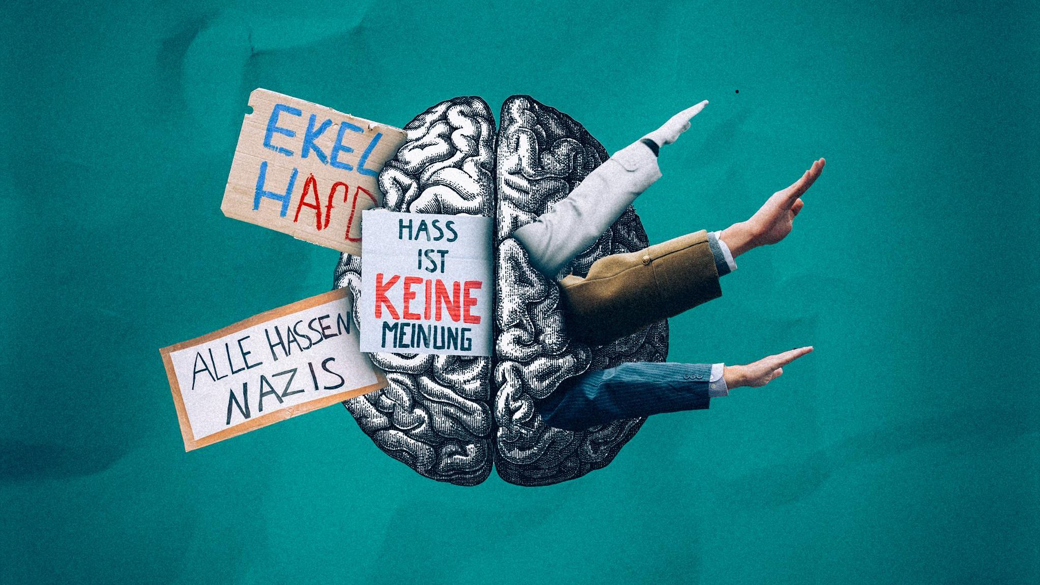 Hirnstrukturen: Kann man die politische Einstellung im Gehirn sehen?