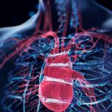 Grafik eines Herzens