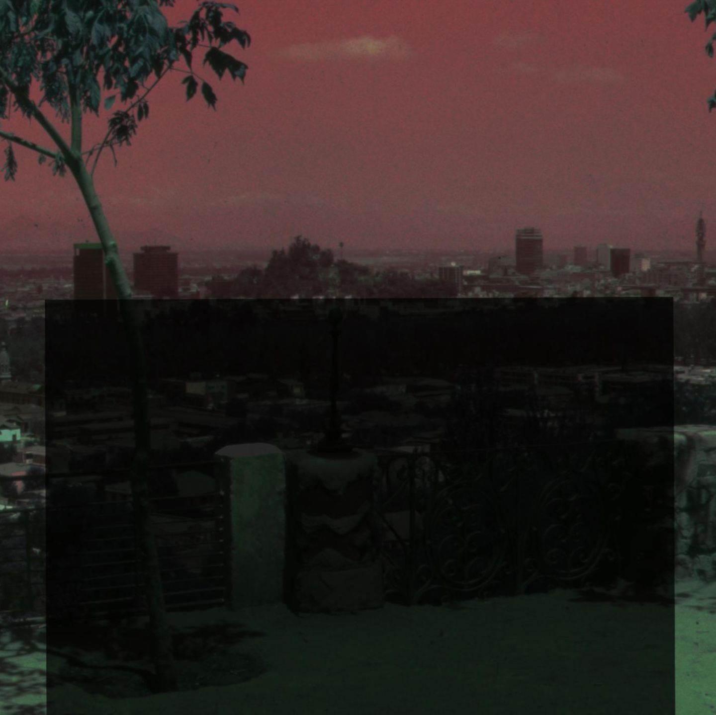 Femizid-Projekt des stern