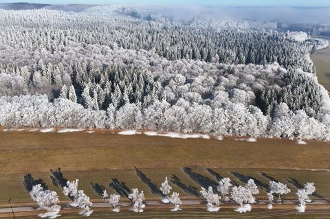 Der Winter im Südwesten zeigt sich aktuell von seiner abwechslungsreichen Seite. (Archivbild) Foto: Marius Bulling/onw-images/dp