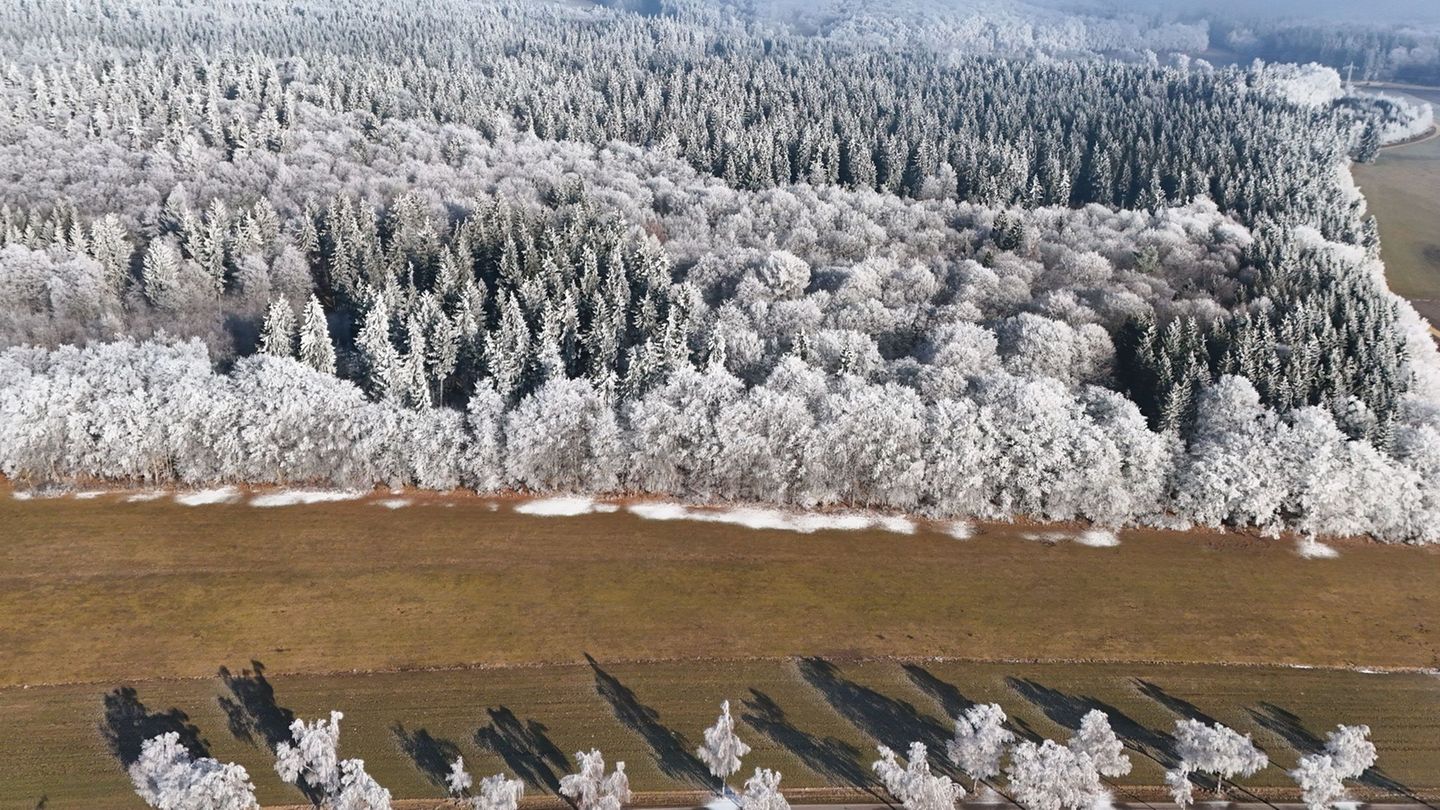 Der Winter im Südwesten zeigt sich aktuell von seiner abwechslungsreichen Seite. (Archivbild) Foto: Marius Bulling/onw-images/dp