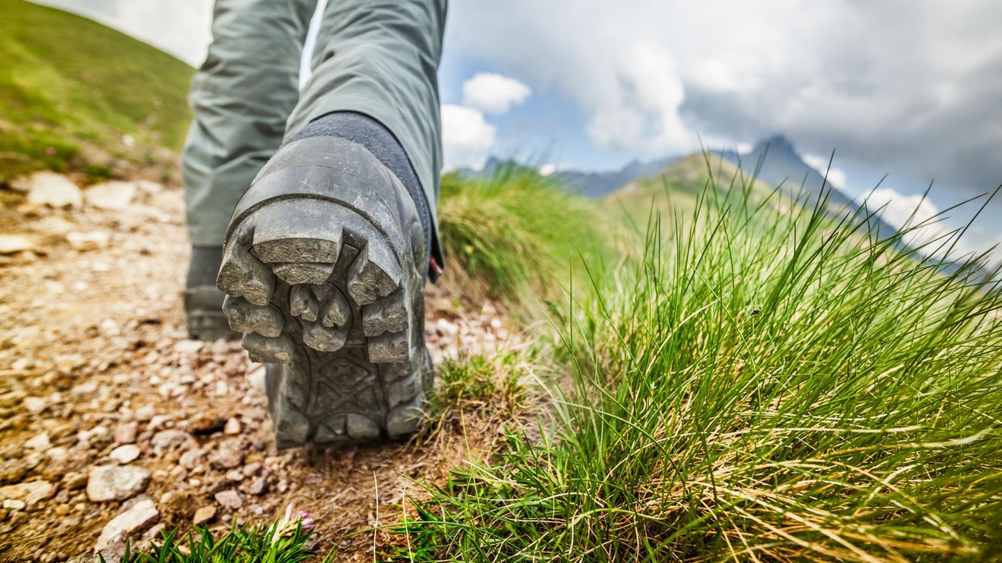 Jack Wolfskin Herren Vojo 3 Texapore Low M