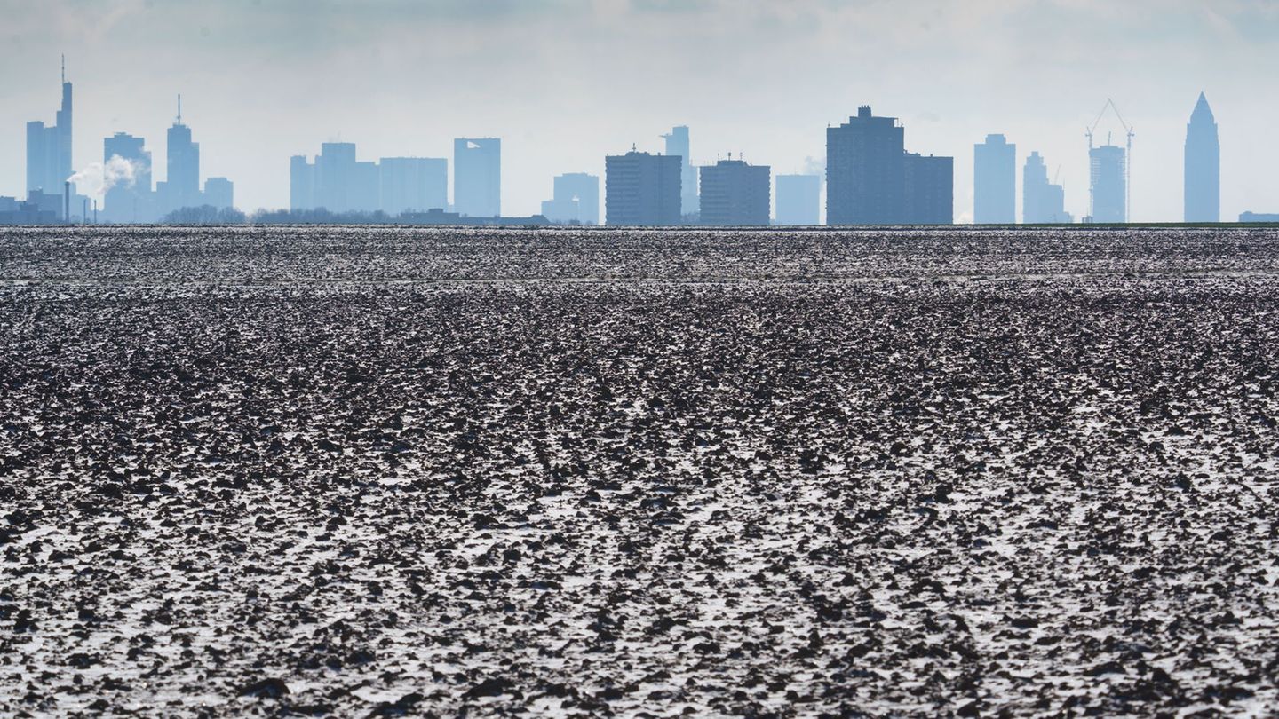 In Hessen sorgen niedrige Temperaturen für Frost. (Symbolbild) Foto: Frank Rumpenhorst/dpa