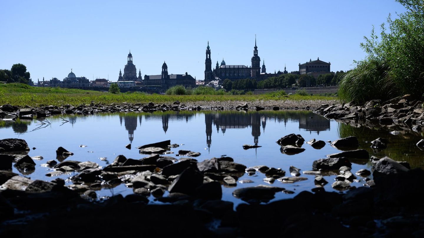 Das Jahr 2025 hat sich in Sachsen erneut als zu trocken erwiesen. (Archivbild) Foto: Robert Michael/dpa