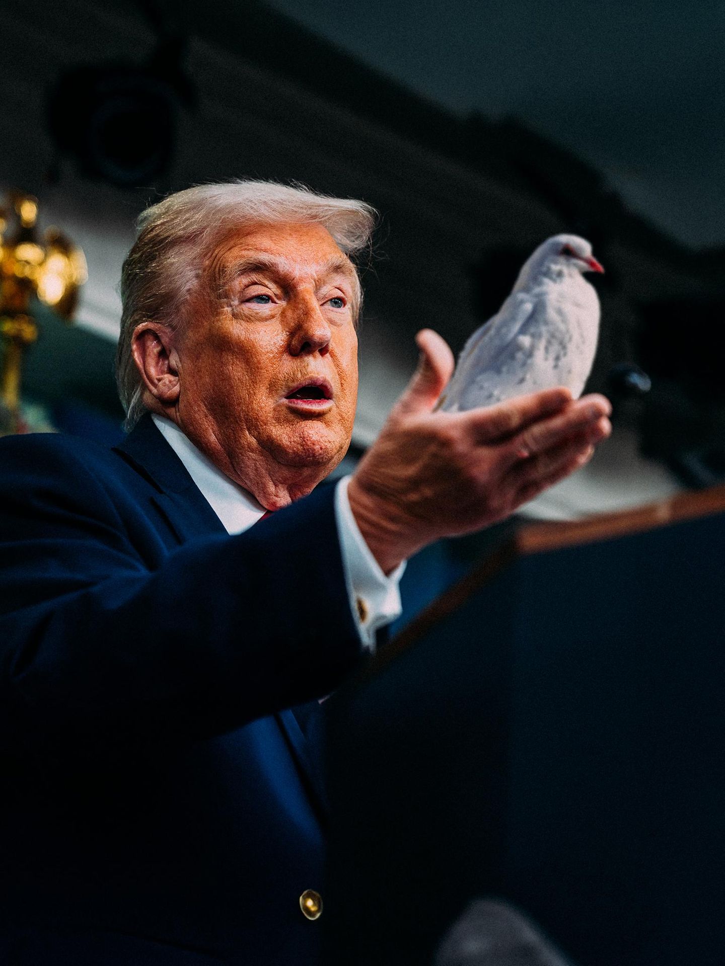 stern-Montage: Donald Trump mit Friedenstaube in der Hand