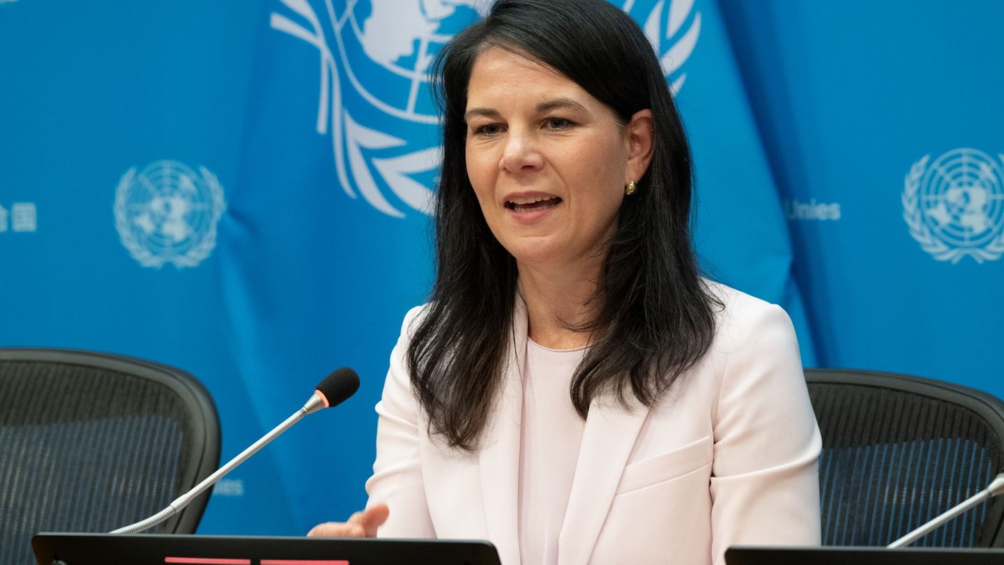 Baerbock zeigt keine Begeisterung für Trumps Vorstoß. Foto: Evan Schneider/UN/XinHua/dpa