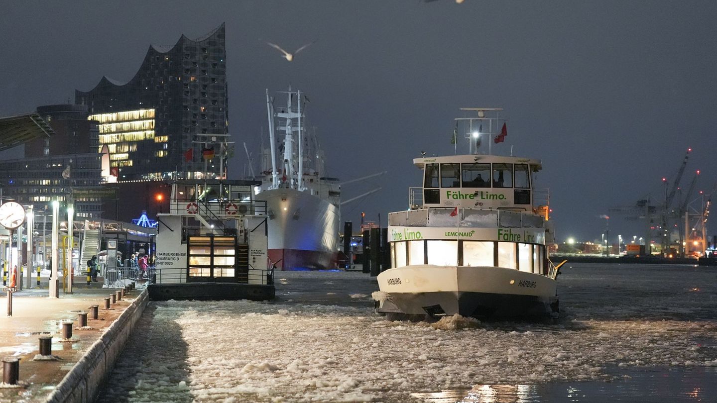 Die Linksfraktion der Bürgerschaft kritisiert die Ausfälle bei den Fähren der Hadag. (Archivbild) Foto: Marcus Brandt/dpa