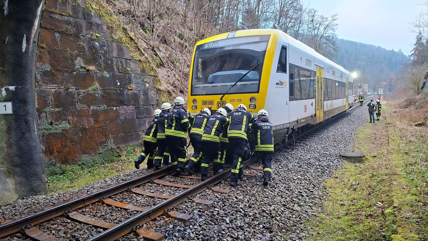 Einsatzkräfte der Feuerwehr schoben den Zug aus dem Tunnel hinaus. Foto: Markus Frank/Feuerwehr Calw/dpa