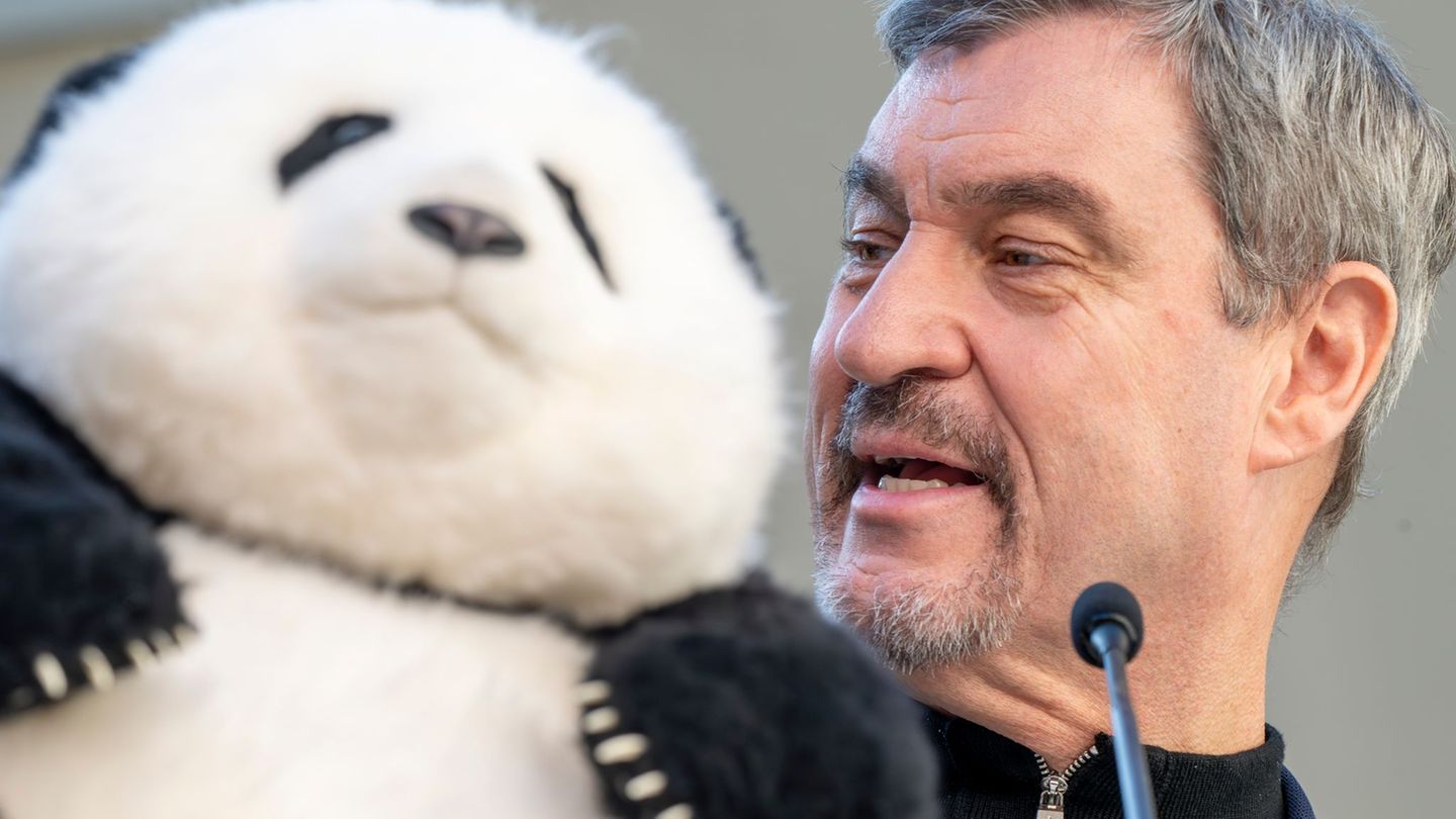 Noch hat Söder (r) nur einen Plüschbären in seinem Büro, doch spätestens 2028 soll es echte Tiere in München geben. Foto: Peter
