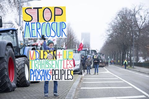 Mercosur gestoppt: Hackt's bei den Grünen?