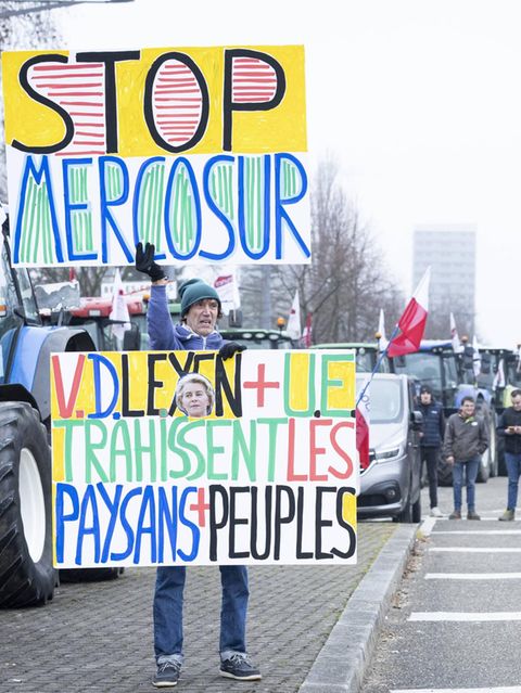 Mercosur gestoppt: Hackt's bei den Grünen?