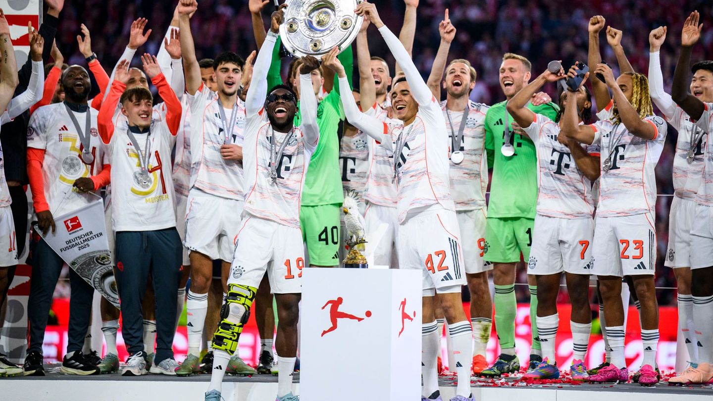 Sportlich die Nummer eins in Deutschland, beim Umsatz weltweit die Nummer drei: der FC Bayern. (Archivbild) Foto: Tom Weller/dpa