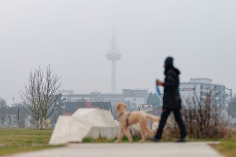 Wetterbericht: Erst sonnig, dann bewölkt. (Archivbild) Foto: Uwe Anspach/dpa