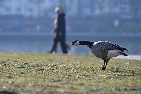 In Hessen bleibt es kalt. Foto: Michael Brandt/dpa