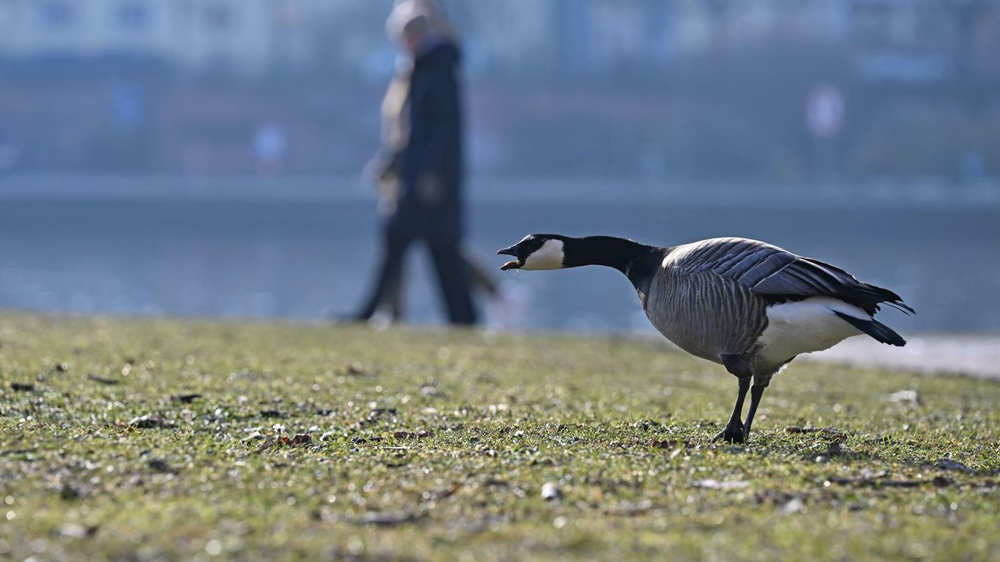 In Hessen bleibt es kalt. Foto: Michael Brandt/dpa