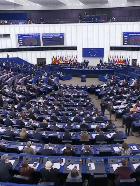 Das EU-Parlament