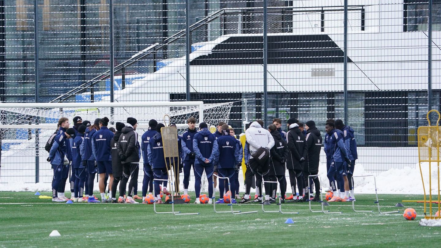 Der HSV hat einen neuen Torhüter verpflichtet. (Archivbild) Foto: Marcus Brandt/dpa