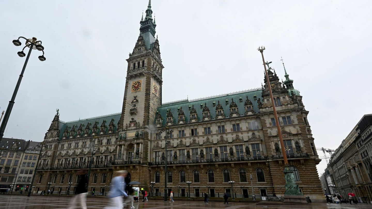 Während des Nordseegipfels kommt es aus Sicherheitsgründen zu Straßensperrungen rund ums Hamburger Rathaus. (Archivbild) Foto: D