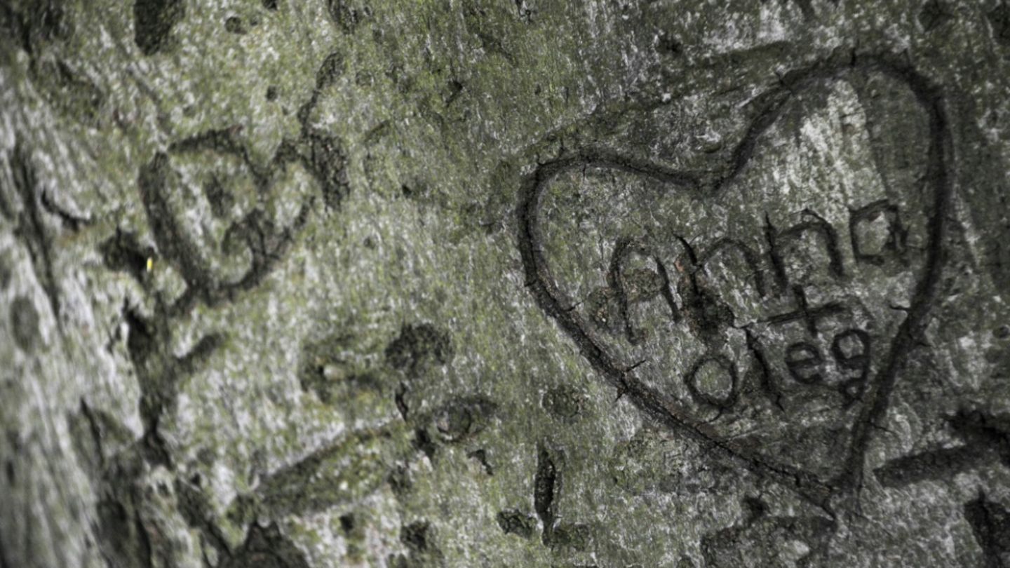 In Baum eingeritztes Herz