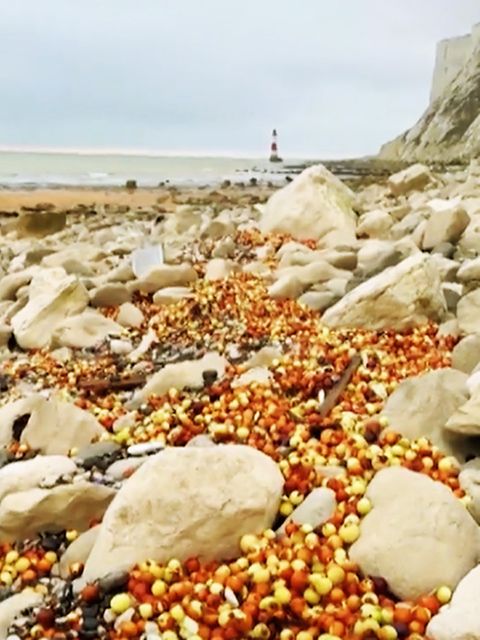 Ein Strand voll mit Pommes Frites und Gemüse.