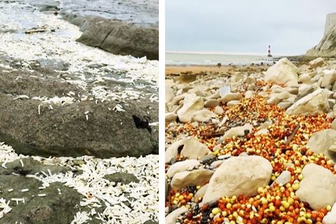 Ein Strand voll mit Pommes Frites und Gemüse.