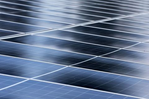 Aus einem Solarpark wurden wertvolle Kabel gestohlen. (Symbolbild) Foto: Bernd Wüstneck/dpa