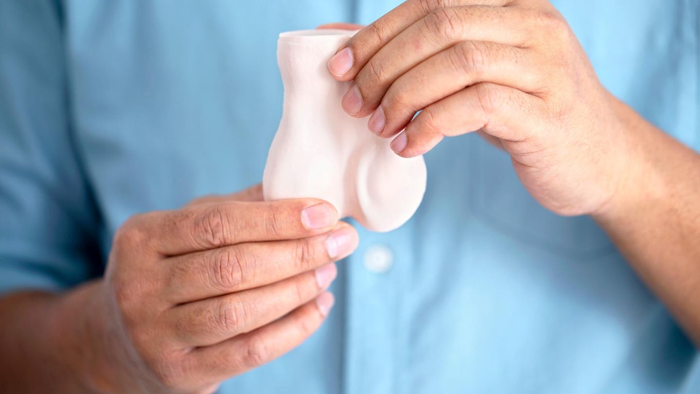 Ein Mann hält das Modell eines Hoden in der Hand