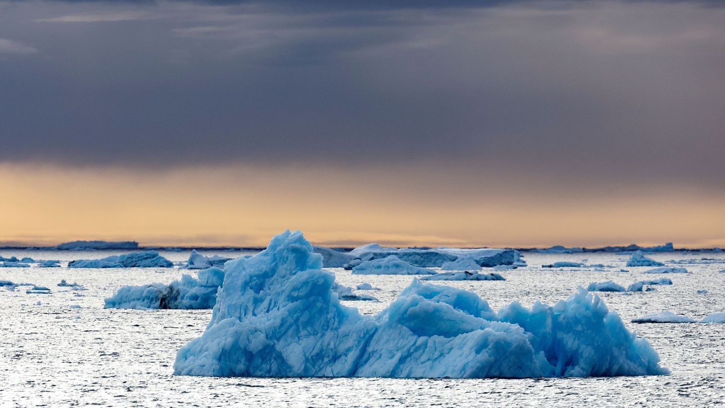 Die Dokumentation von Werner Herzog, in der der Pinguin vorkommt, ist aus dem Jahr 2007. (Archivfoto) Foto: John Weller/dpa