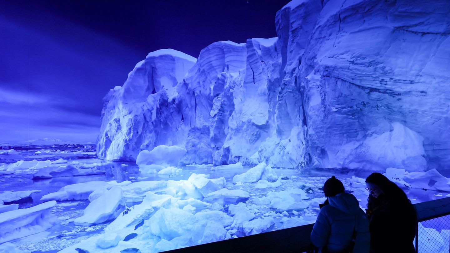 Die eisige und faszinierende Welt der Antarktis wird als 360-Grad-Bild gezeigt Foto: Jan Woitas/dpa